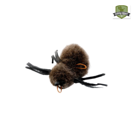 Buffalo Spinnetje (Tabby Tijger)