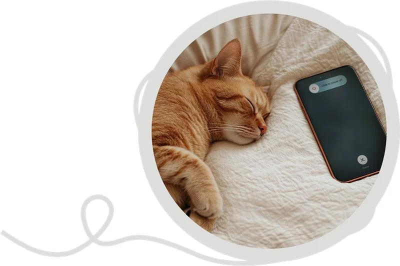 Slapende kat naast een uitgeschakelde smartphone